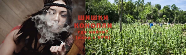 Альфа ПВП Нягань