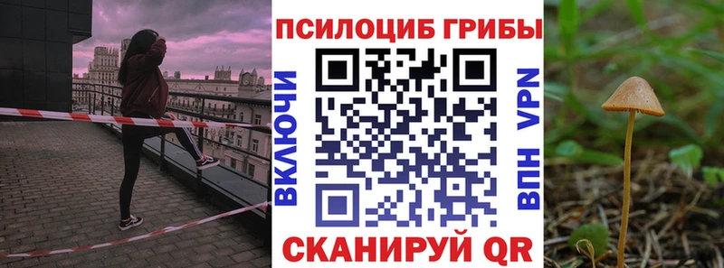 Галлюциногенные грибы Cubensis Струнино